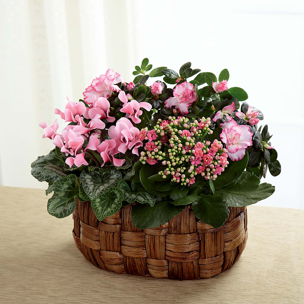 Pink Assortment – Concord Flowers, Concord CA