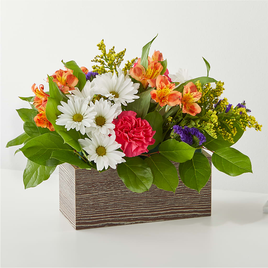 Oopsie Daisy Box Bouquet – Concord Flowers, Concord CA