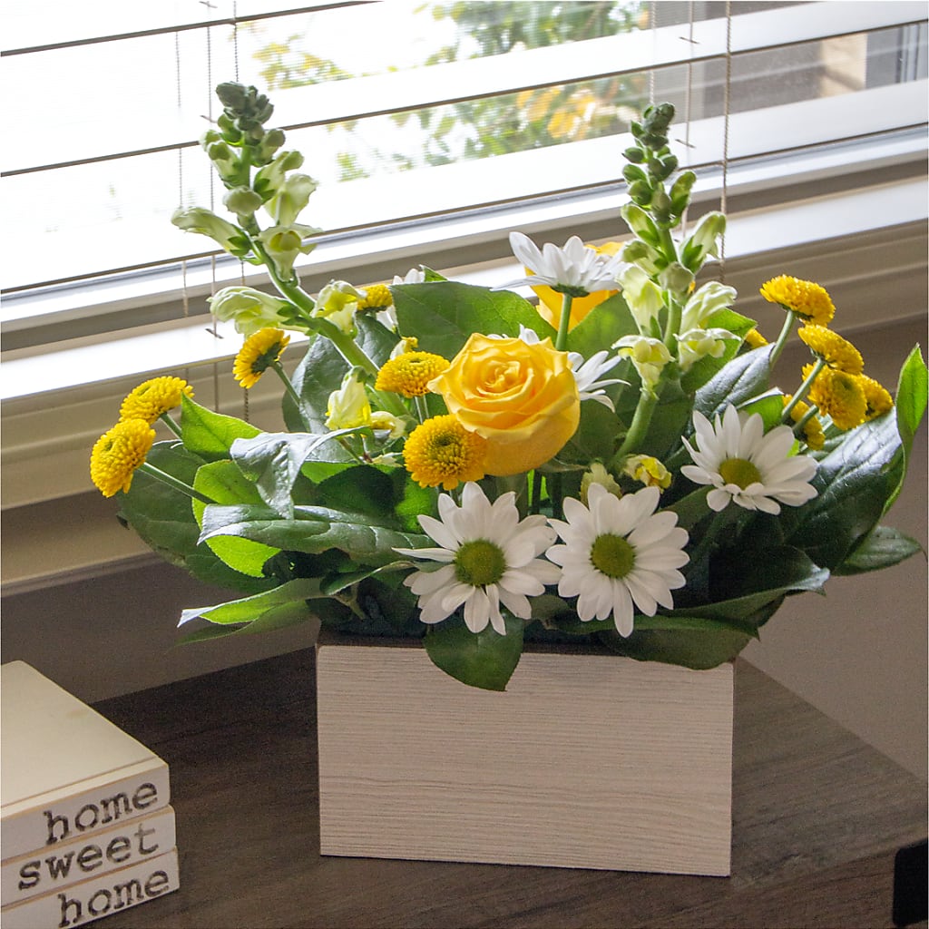 Sun Salutation Box Bouquet – Concord Flowers, Concord CA
