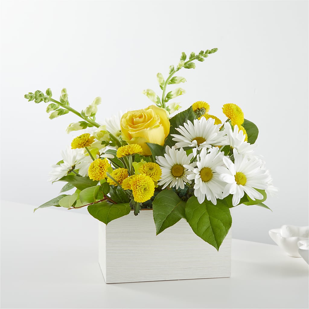 Sun Salutation Box Bouquet – Concord Flowers, Concord CA