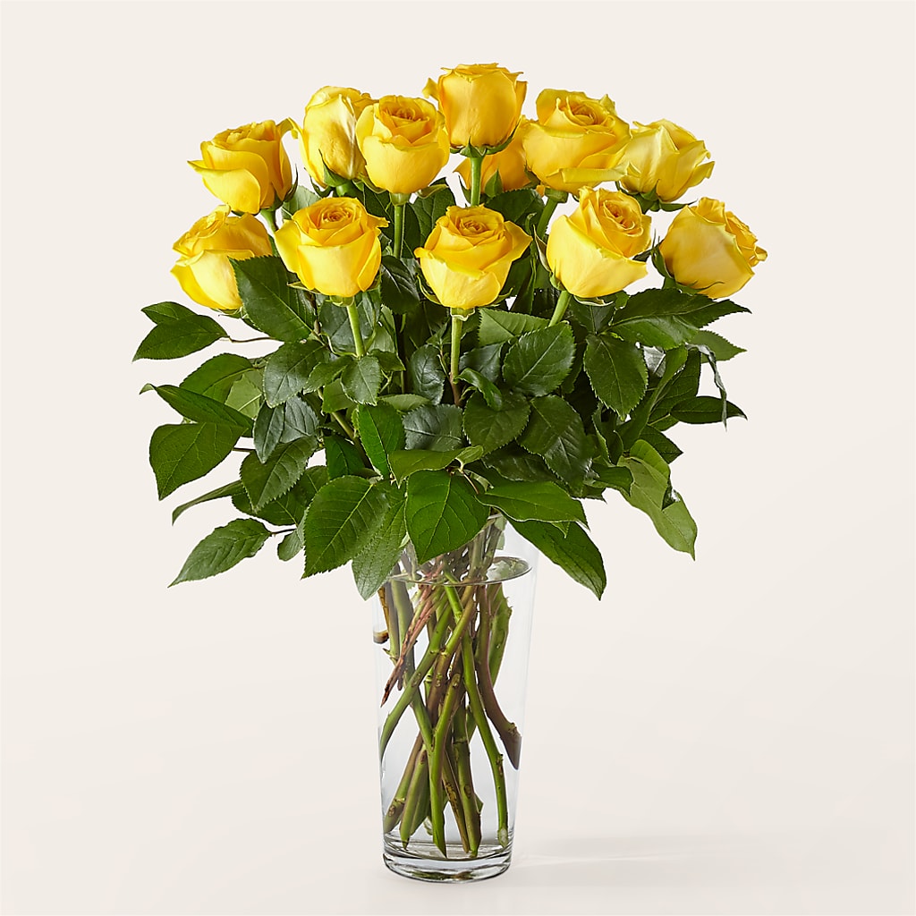 Long Stem Yellow Rose Bouquet – Concord Flowers, Concord CA