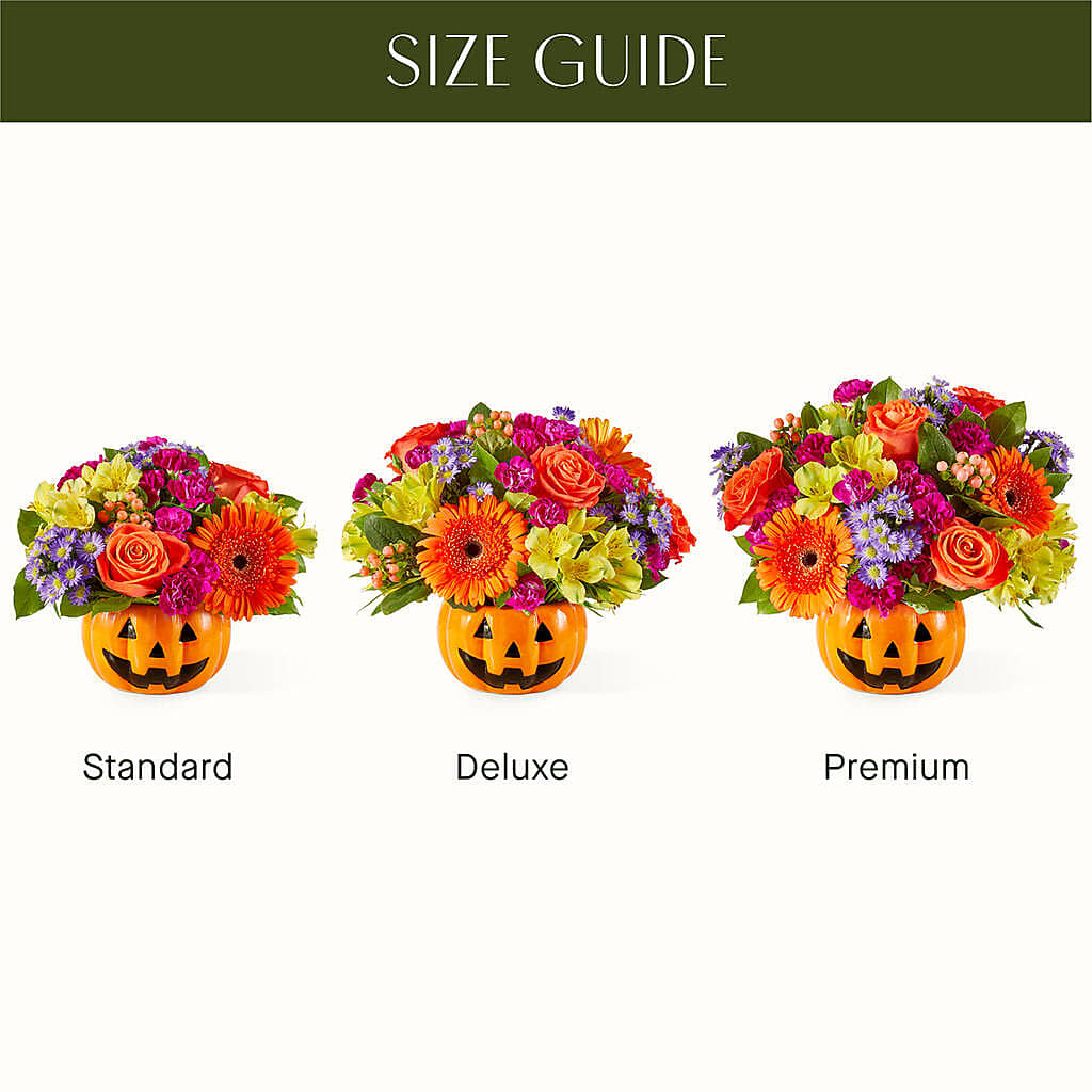 Tricks & Treats Pumpkin – Concord Flowers, Concord CA