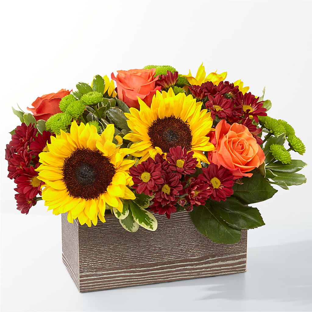 Happy Harvest Garden – Concord Flowers, Concord CA