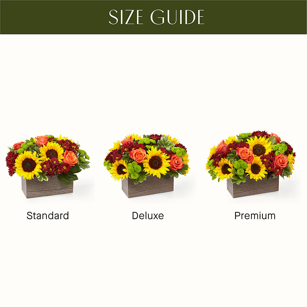 Happy Harvest Garden – Concord Flowers, Concord CA