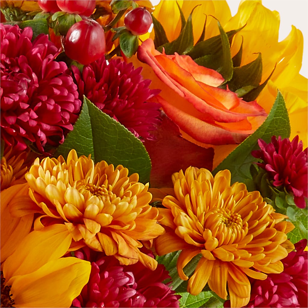Sweater Season - A Florist Original – Concord Flowers, Concord CA