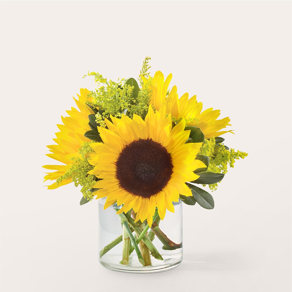 Beaming Sunflower Bouquet – Concord Flowers, Concord CA