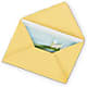 Greeting Card – Concord Flowers, Concord CA