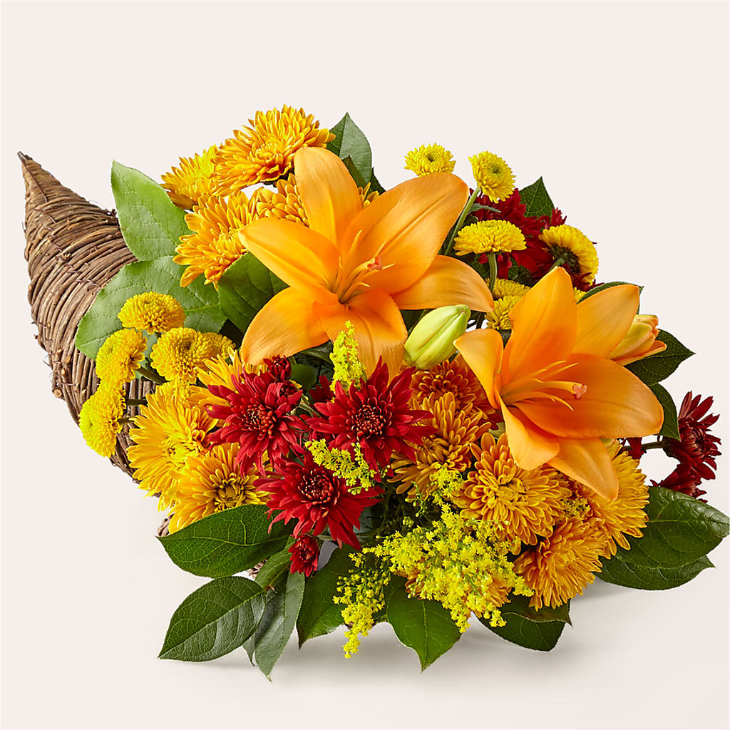 Feast of Color Cornucopia – Concord Flowers, Concord CA