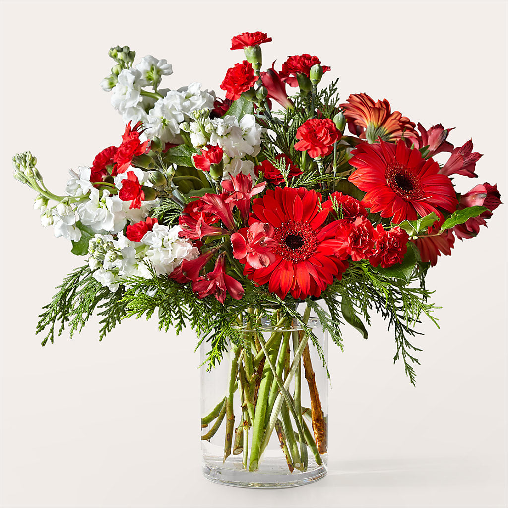 Holidaisy Bouquet – Concord Flowers, Concord CA