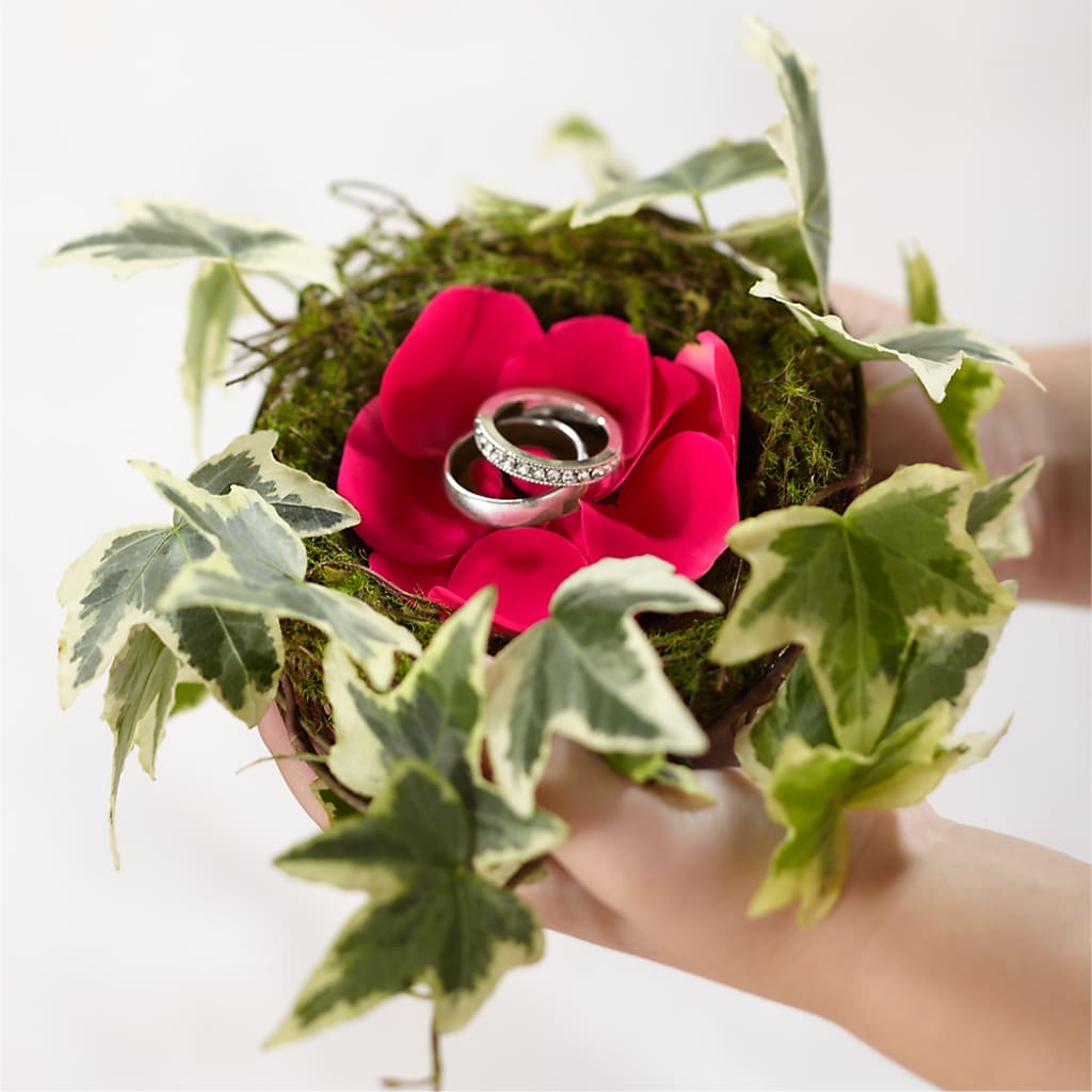 Lila Rose Ring Nest – Concord Flowers, Concord CA