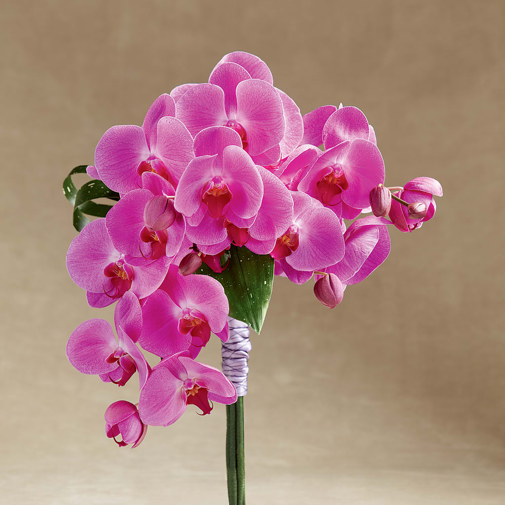 Glorious Bouquet – Concord Flowers, Concord CA