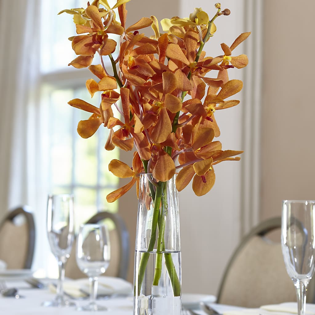 Orange Mokara Bud Vase – Concord Flowers, Concord CA