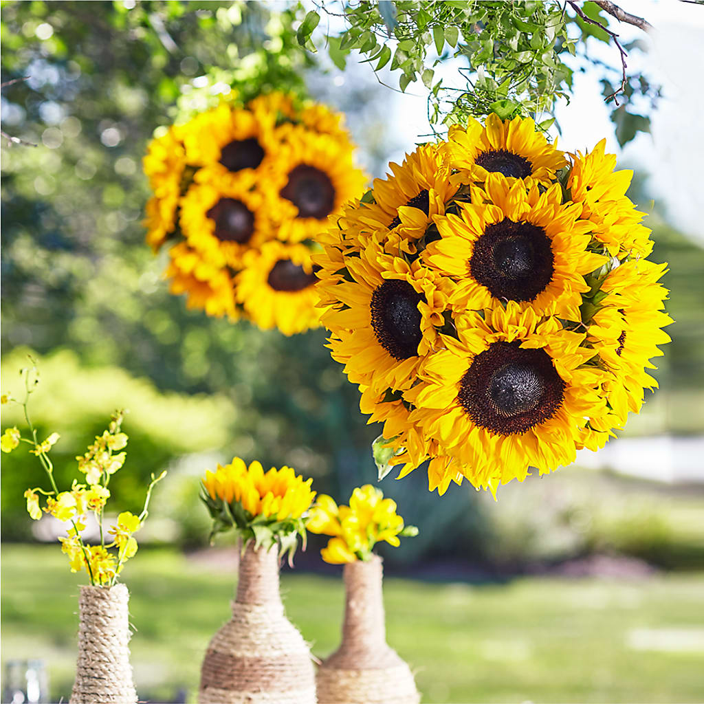 Sublime Garden Hanging Arrangement – Concord Flowers, Concord CA