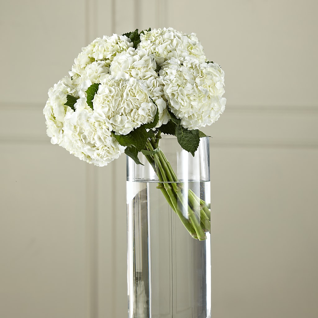 White Hydrangea Hand-Tied Bouquet – Concord Flowers, Concord CA