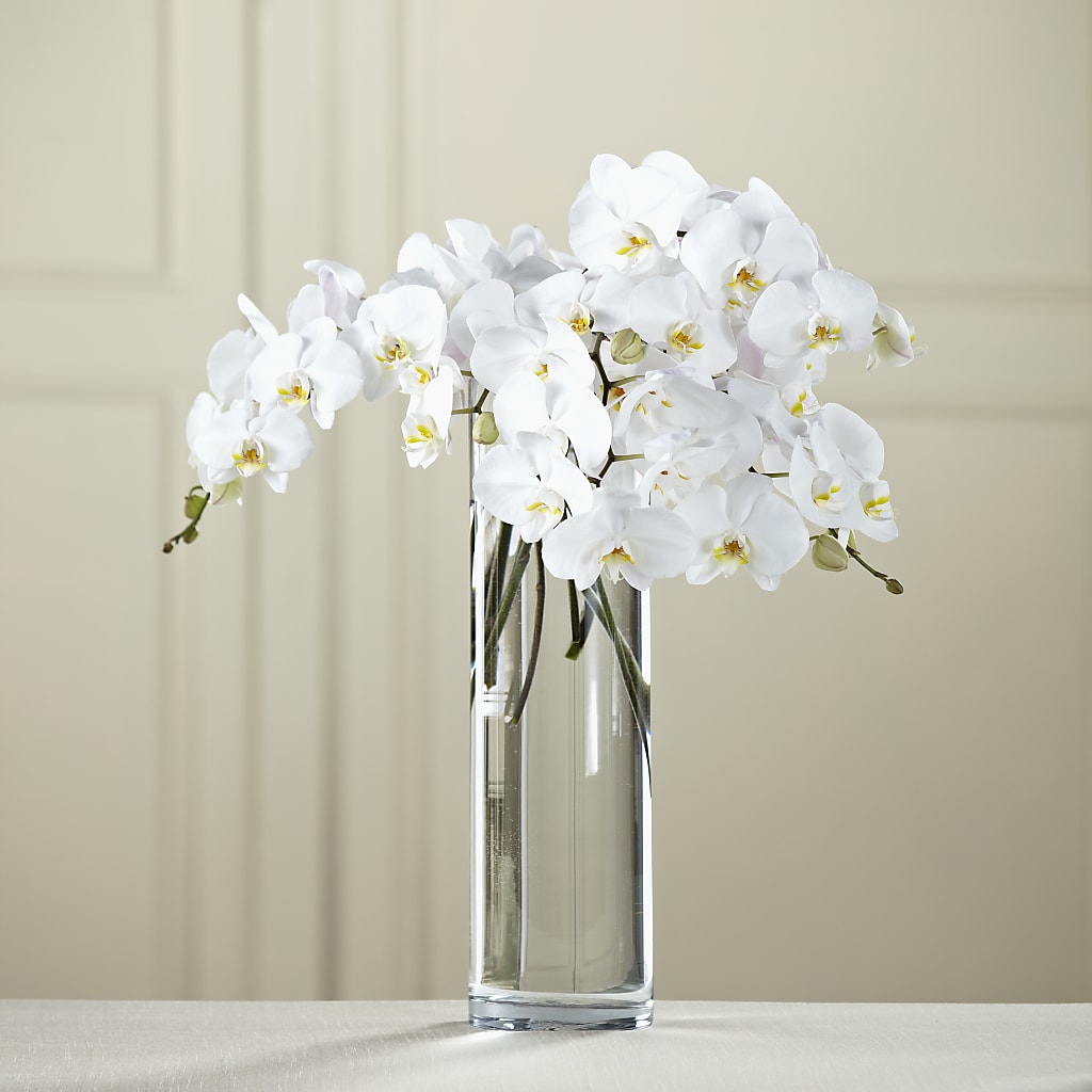 White Phalaenopsis Bouquet – Concord Flowers, Concord CA