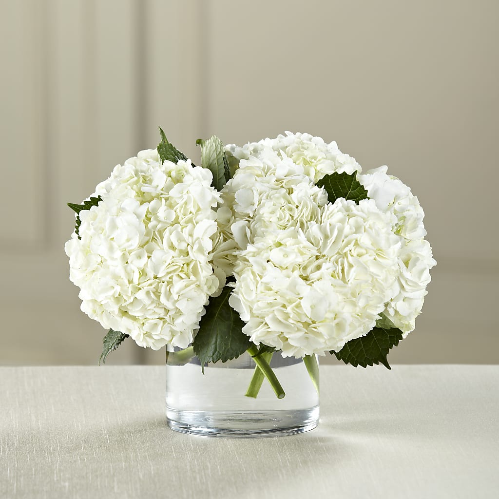 White Hydrangea Bouquet – Concord Flowers, Concord CA