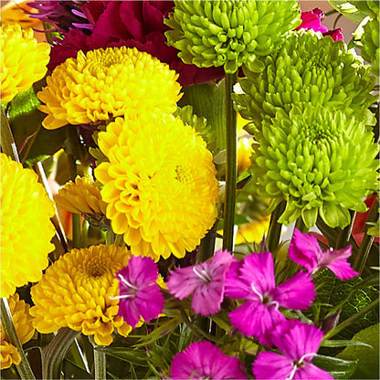 Bold & Bright – A Florist Original –  Concord Flowers, Concord CA