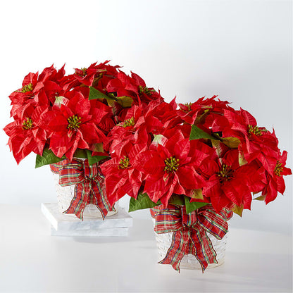 Happiest Holidays Poinsettia Bundle –  Concord Flowers, Concord CA