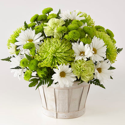 Lucky Charm Basket (Standard) –  Concord Flowers, Concord CA