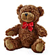 Adorable Plush Bear –  Concord Flowers, Concord CA