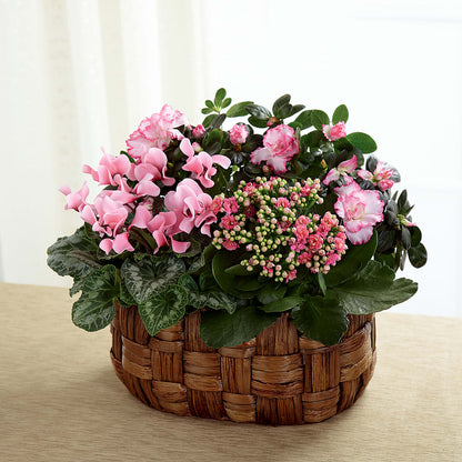 Pink Assortment –  Concord Flowers, Concord CA