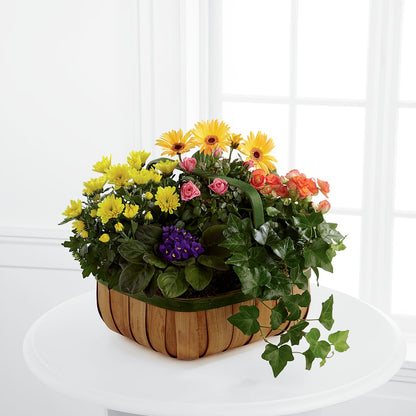Gentle Blossoms Basket –  Concord Flowers, Concord CA