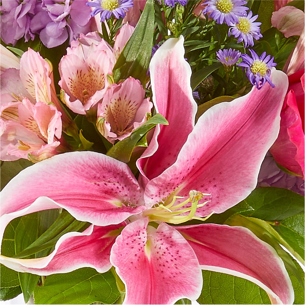 Written in the Stars Bouquet –  Concord Flowers, Concord CA