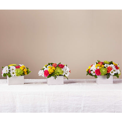 Sorbet Bouquet –  Concord Flowers, Concord CA