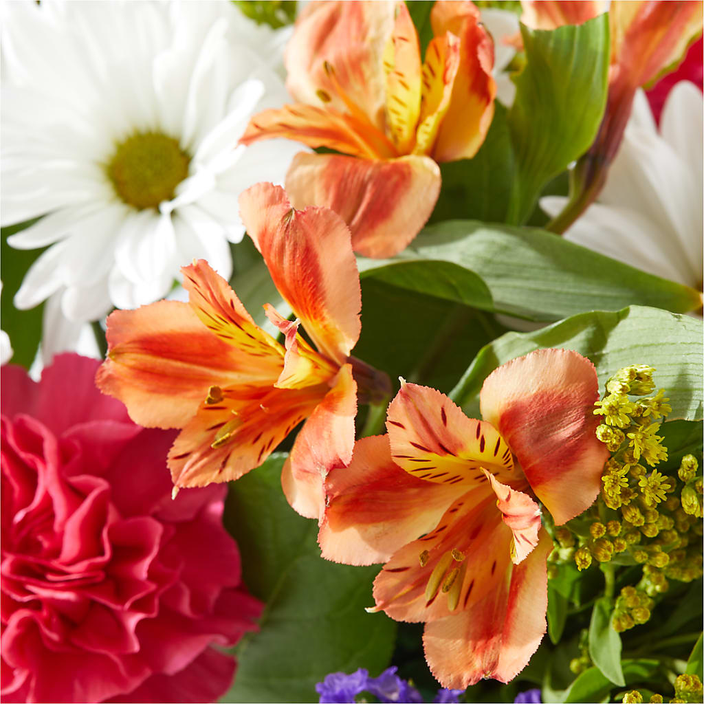 Oopsie Daisy Box Bouquet –  Concord Flowers, Concord CA