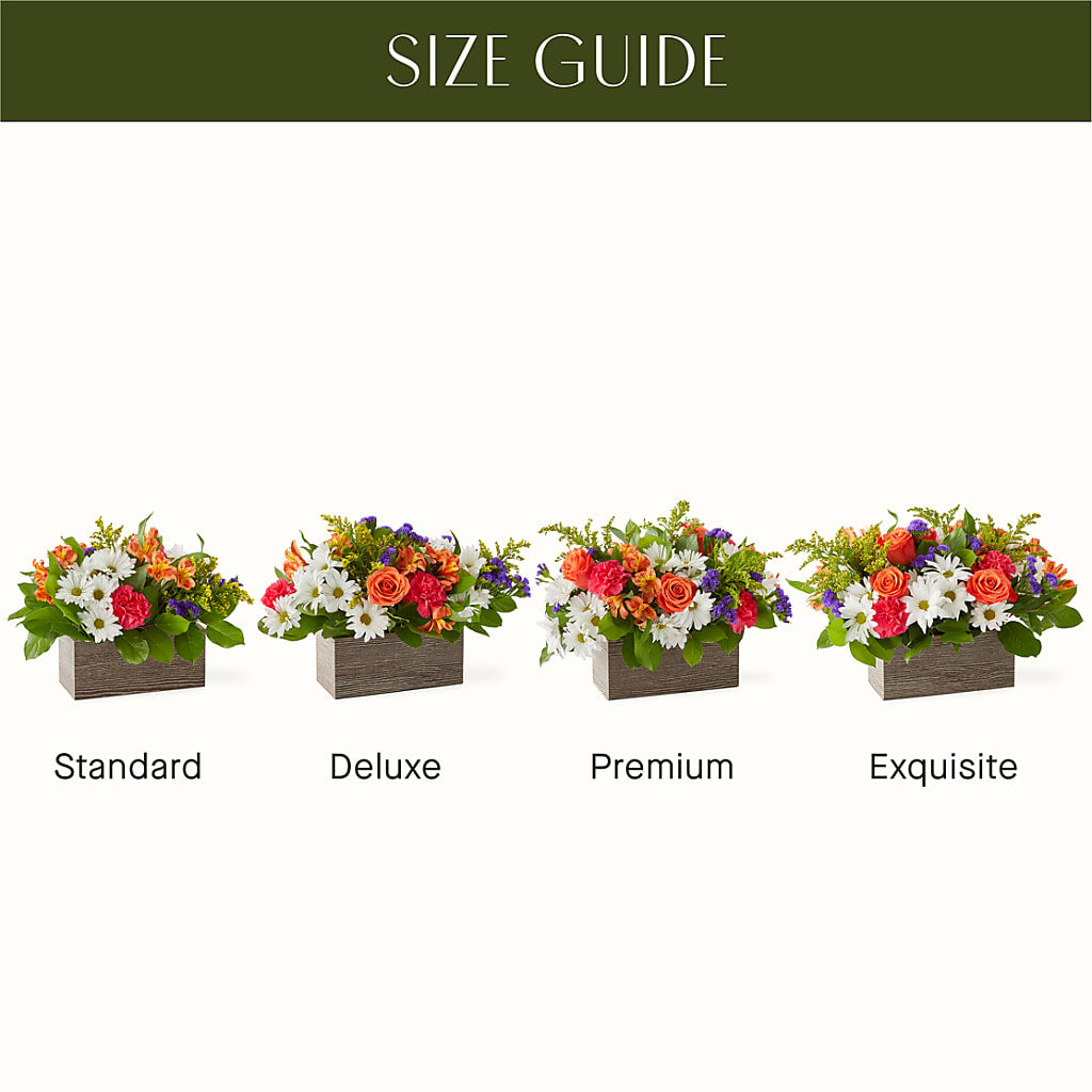 Oopsie Daisy Box Bouquet –  Concord Flowers, Concord CA