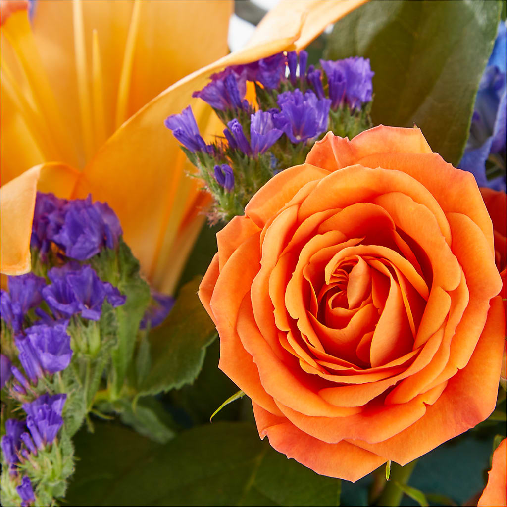Radiant Citrus Box Bouquet –  Concord Flowers, Concord CA