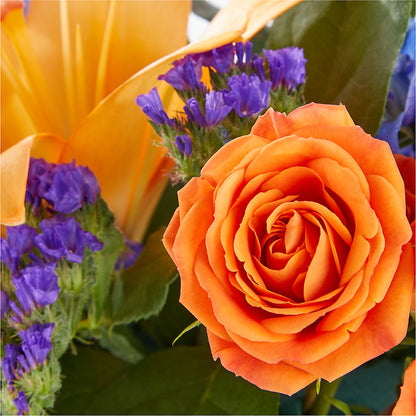 Radiant Citrus Box Bouquet –  Concord Flowers, Concord CA