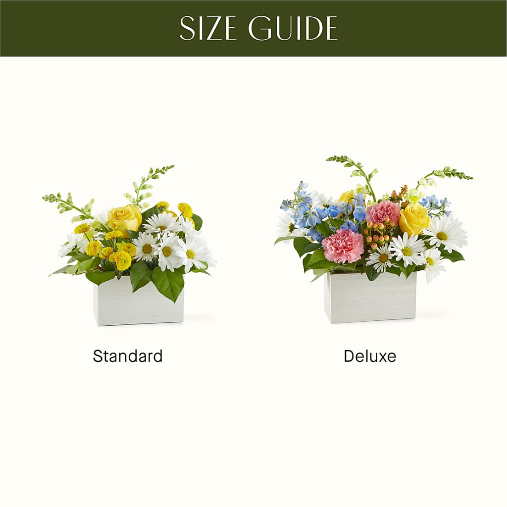 Sun Salutation Box Bouquet –  Concord Flowers, Concord CA