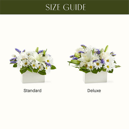 Beyond Blue Box Bouquet –  Concord Flowers, Concord CA