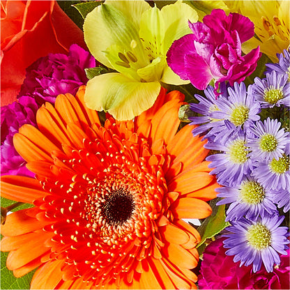 Tricks & Treats Pumpkin –  Concord Flowers, Concord CA