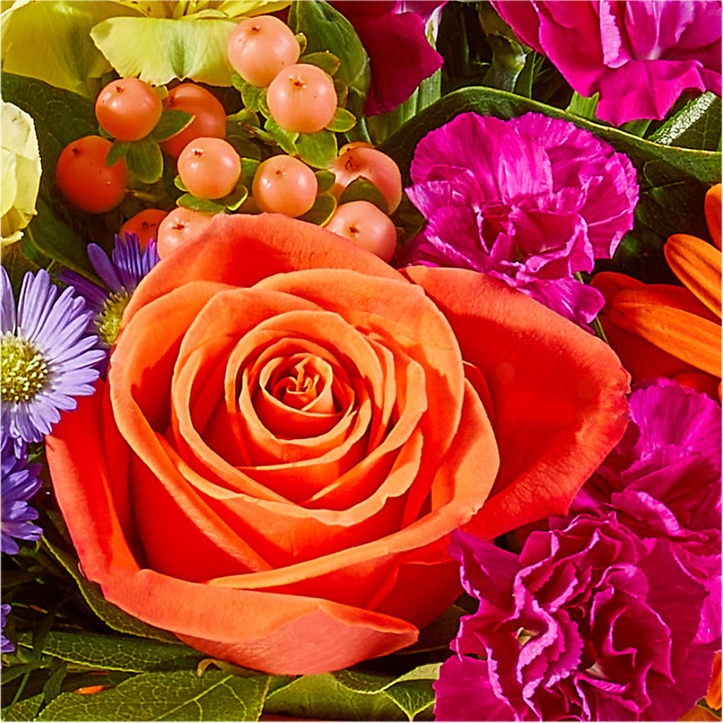 Tricks & Treats Pumpkin –  Concord Flowers, Concord CA