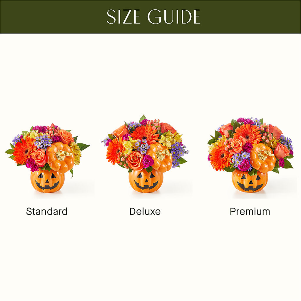 Tricks & Treats Pumpkin –  Concord Flowers, Concord CA