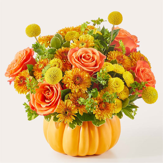 Gourdgeous Pumpkin –  Concord Flowers, Concord CA