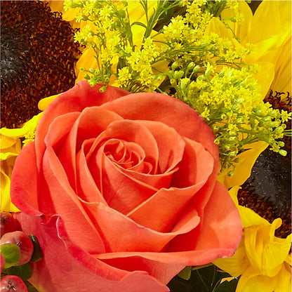 Pick of the Patch Pumpkin Bouquet –  Concord Flowers, Concord CA