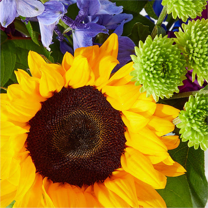 Catching Rays Bouquet –  Concord Flowers, Concord CA