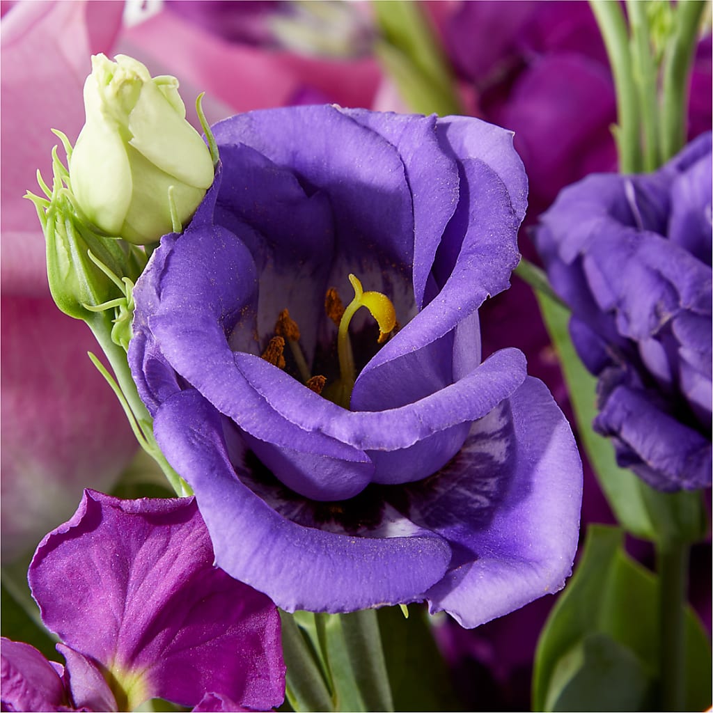 Twilight Glow Bouquet –  Concord Flowers, Concord CA