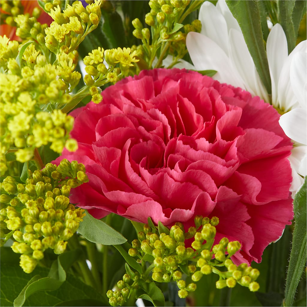 Oopsie Daisy Bouquet –  Concord Flowers, Concord CA