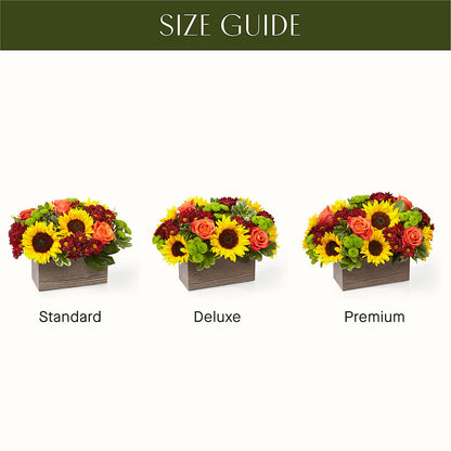 Happy Harvest Garden –  Concord Flowers, Concord CA