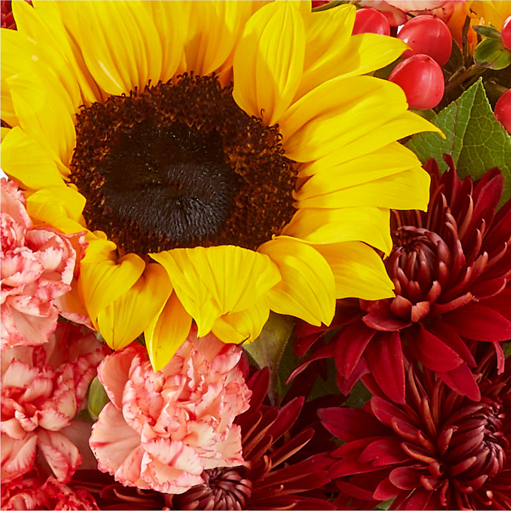 Fresh Cider Bouquet –  Concord Flowers, Concord CA