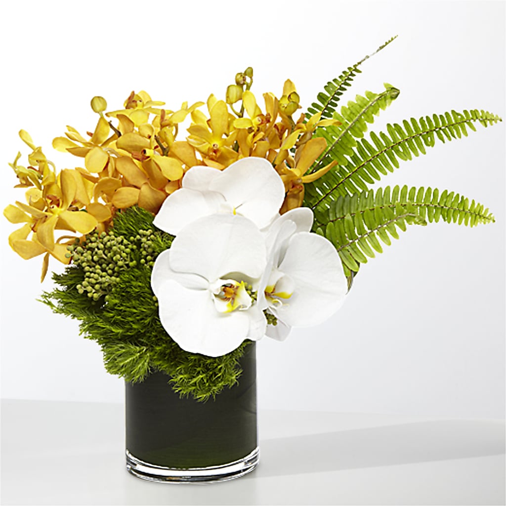 The Tropics –  Concord Flowers, Concord CA