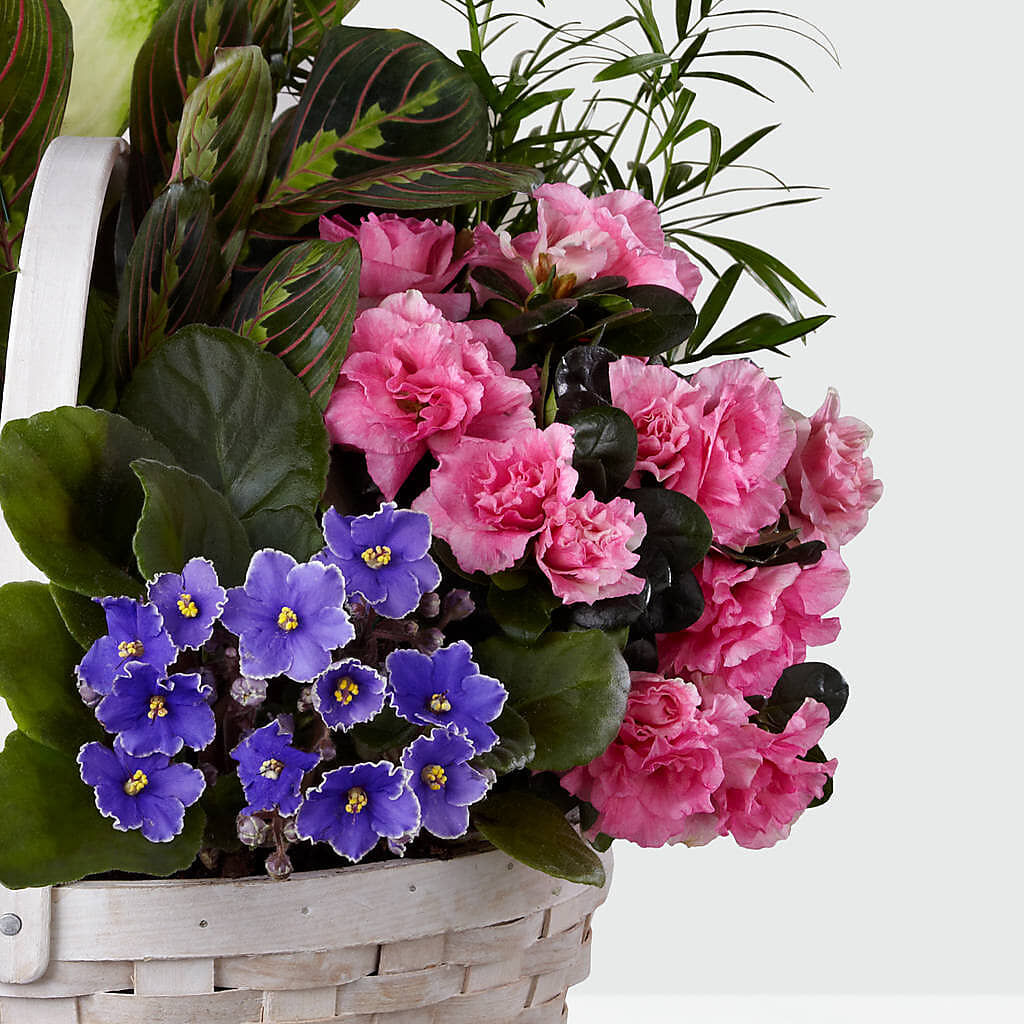 Peaceful Garden Planter –  Concord Flowers, Concord CA