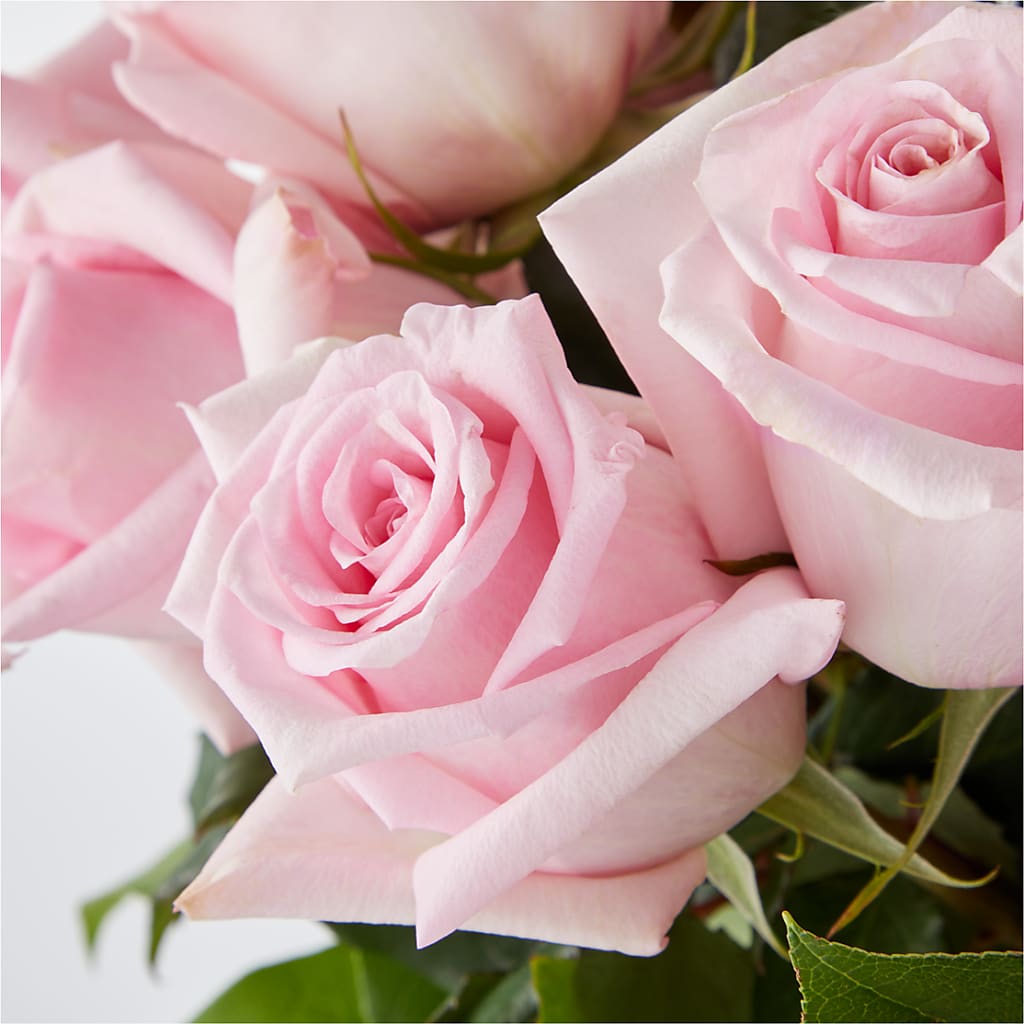Picture Perfect Pink Rose Bouquet –  Concord Flowers, Concord CA