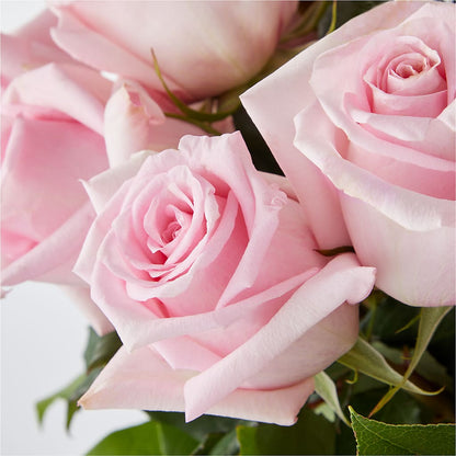Picture Perfect Pink Rose Bouquet –  Concord Flowers, Concord CA