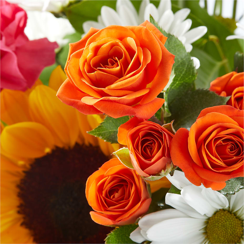 Sun-drenched Blooms Bouquet –  Concord Flowers, Concord CA