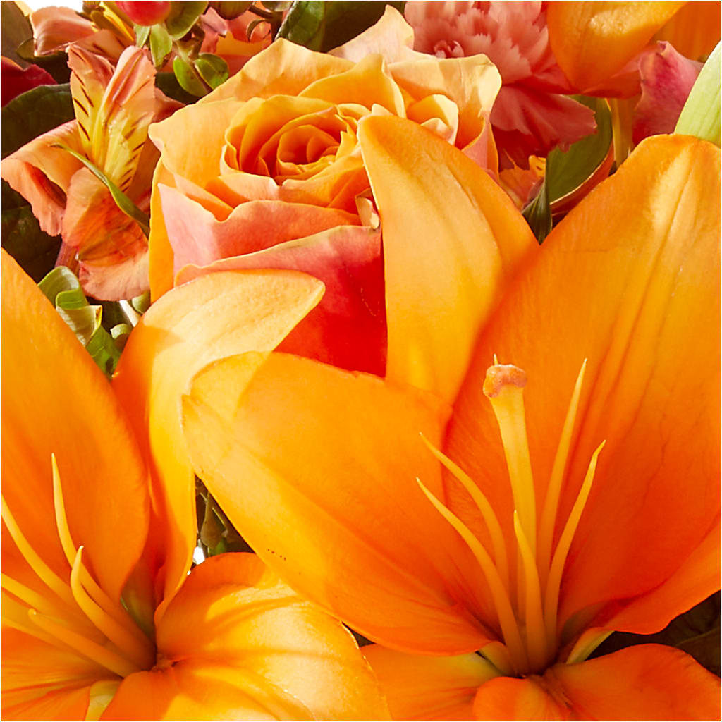 Afternoon Light Bouquet –  Concord Flowers, Concord CA